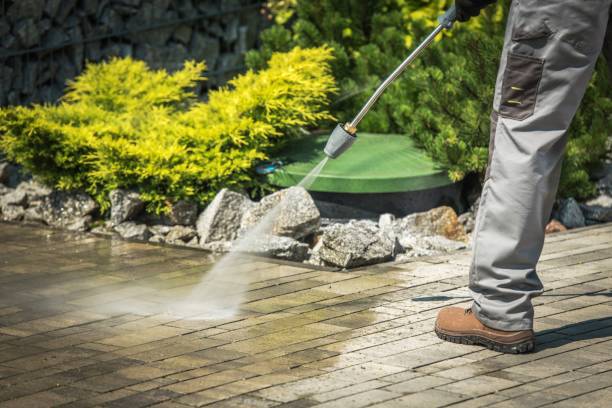 Best Sidewalk and Walkway Cleaning  in Louise, TX