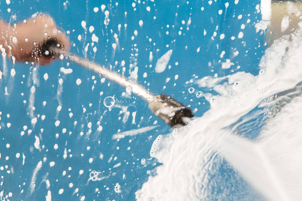Best Pre-Holiday Cleaning  in Louise, TX