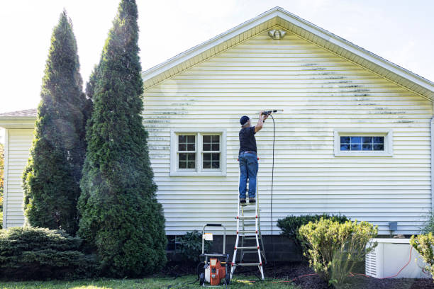 Best Spring Cleaning  in Louise, TX