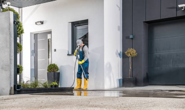 Best Warehouse Cleaning  in Louise, TX